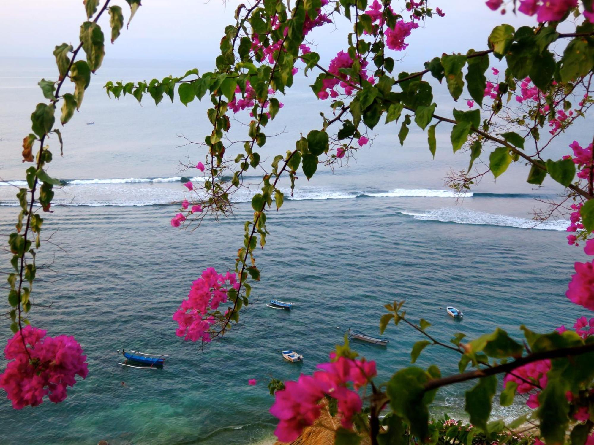 Acacia Bungalows Bingin Uluwatu Eksteriør billede